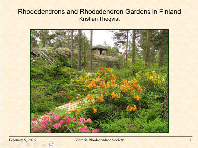 Rhododendrons and Rhododendron Gardens in Finland